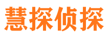 新兴侦探公司